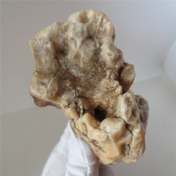 natural quartz flower gobi stone raw desert rock home decor. (g38)