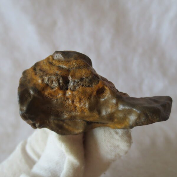 natural thumb eye gobi agate desert raw stone mineral (m145)