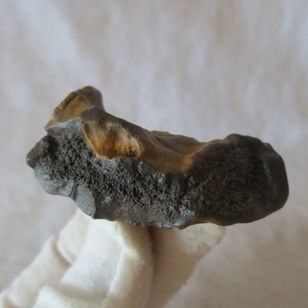 natural thumb eye gobi agate desert raw stone mineral (m145)