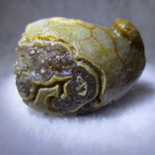 natural thumb eye gobi agate desert raw stone mineral (m118)