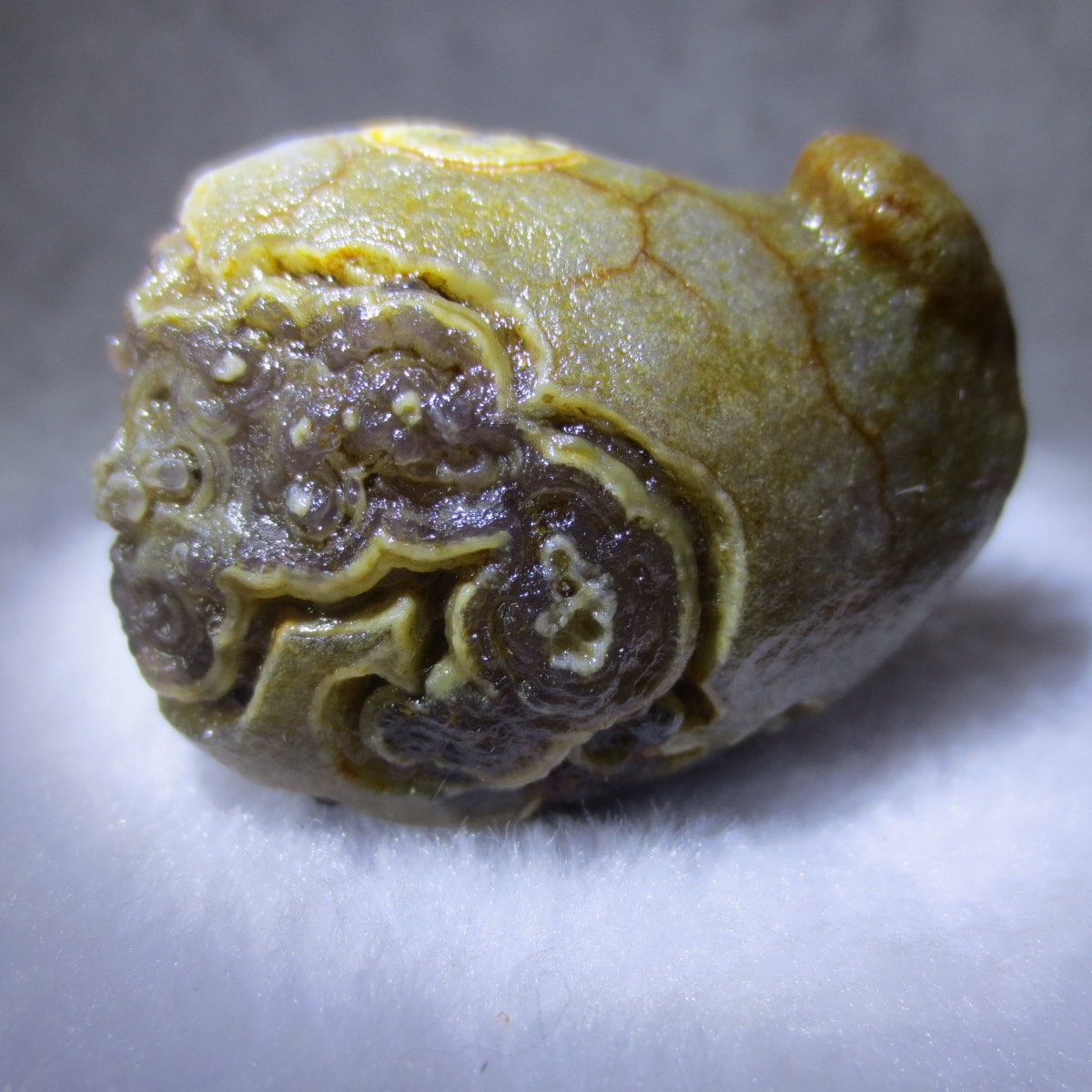 natural thumb eye gobi agate desert raw stone mineral (m118)