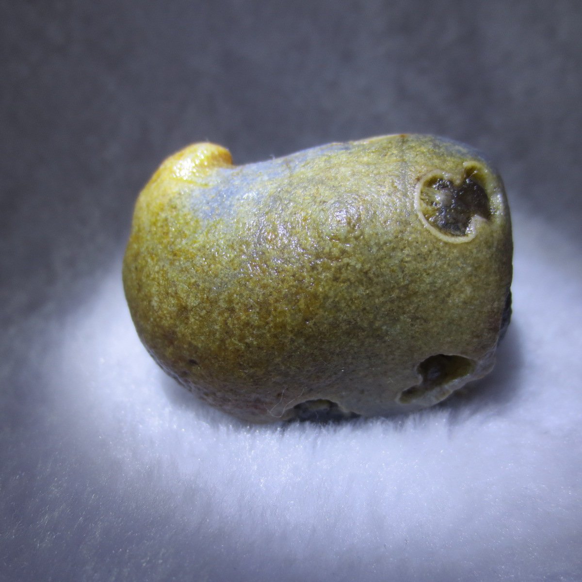 natural thumb eye gobi agate desert raw stone mineral (m118)