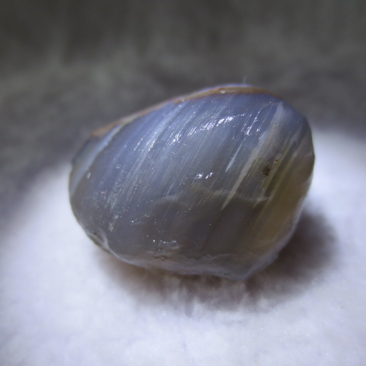 natural thumb eye gobi agate desert raw stone mineral (m119)