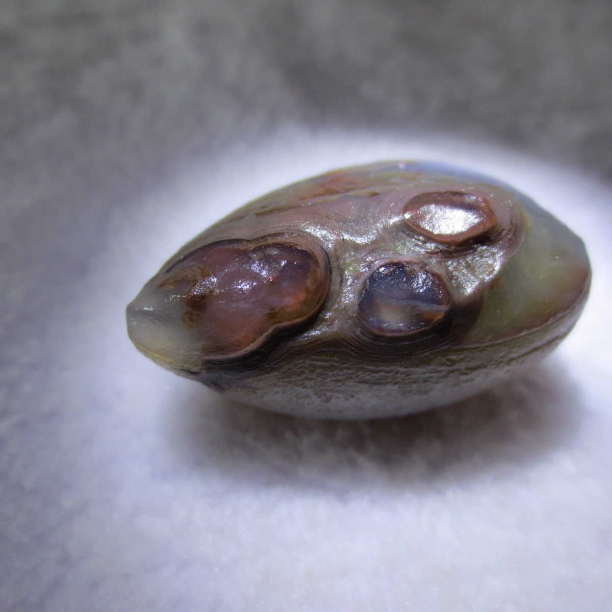natural thumb eye gobi agate desert raw stone mineral (m119)
