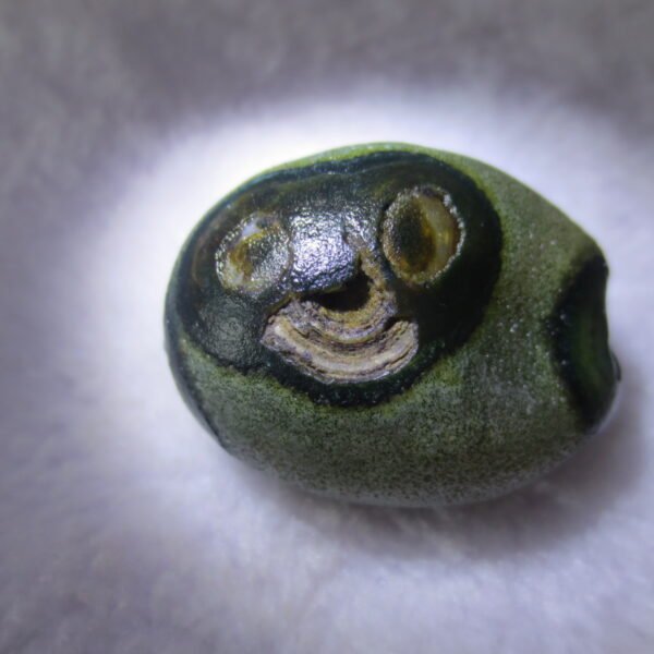 natural thumb eye gobi agate desert raw stone mineral (m120)