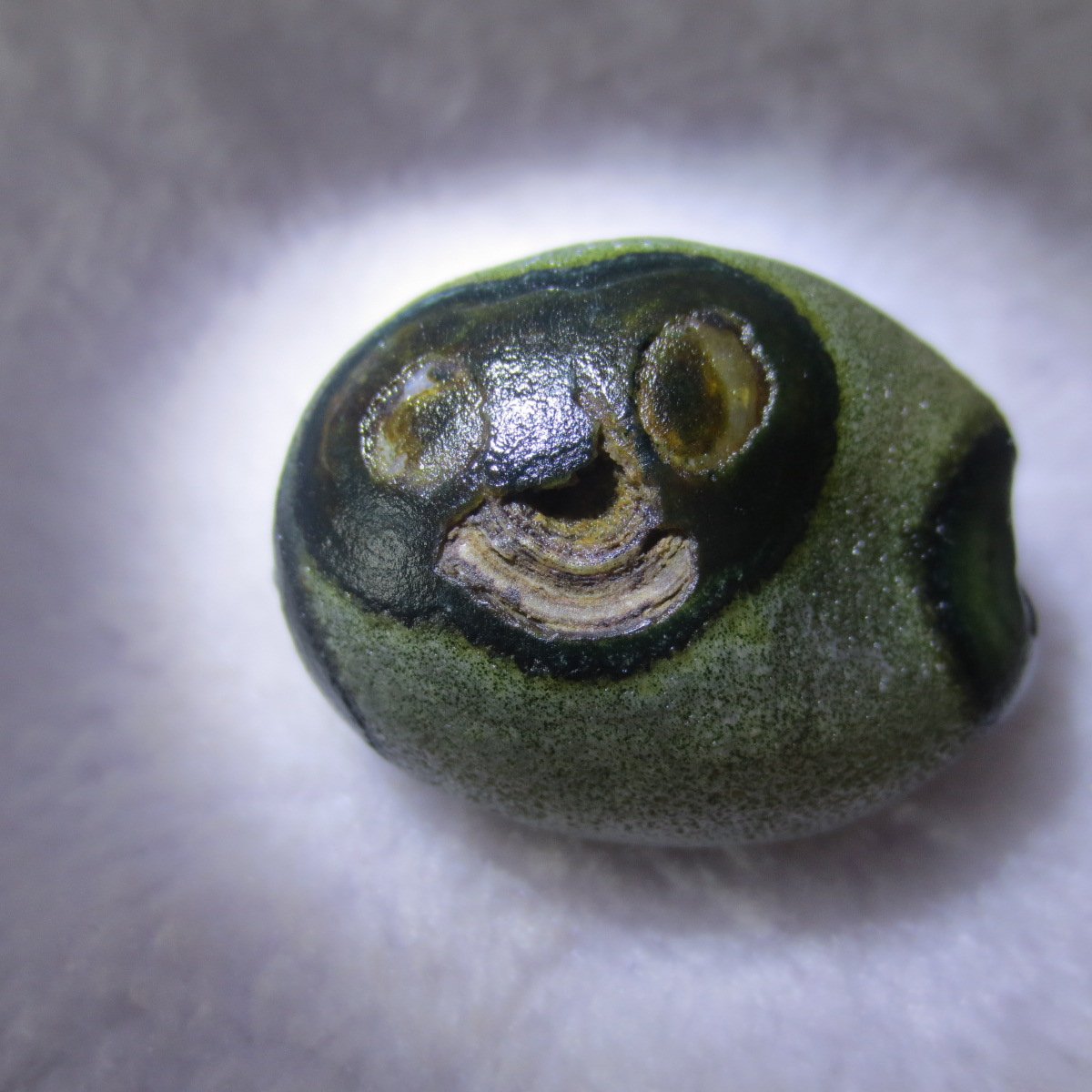 natural thumb eye gobi agate desert raw stone mineral (m120)