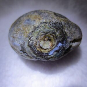natural thumb eye gobi agate desert raw stone mineral (m122)