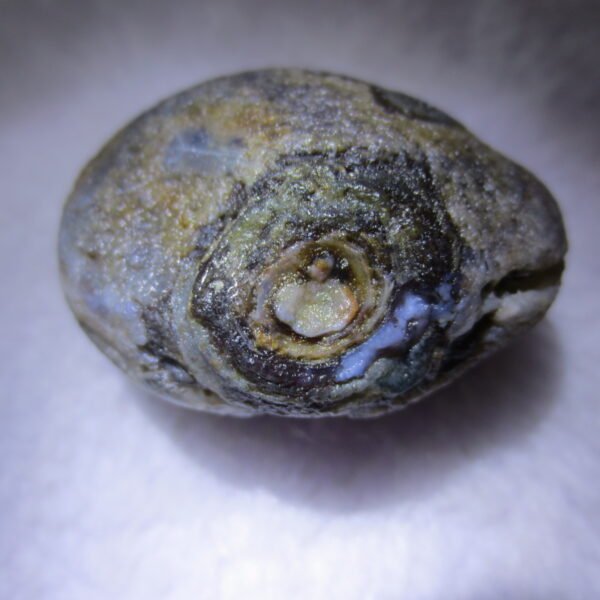 natural thumb eye gobi agate desert raw stone mineral (m122)