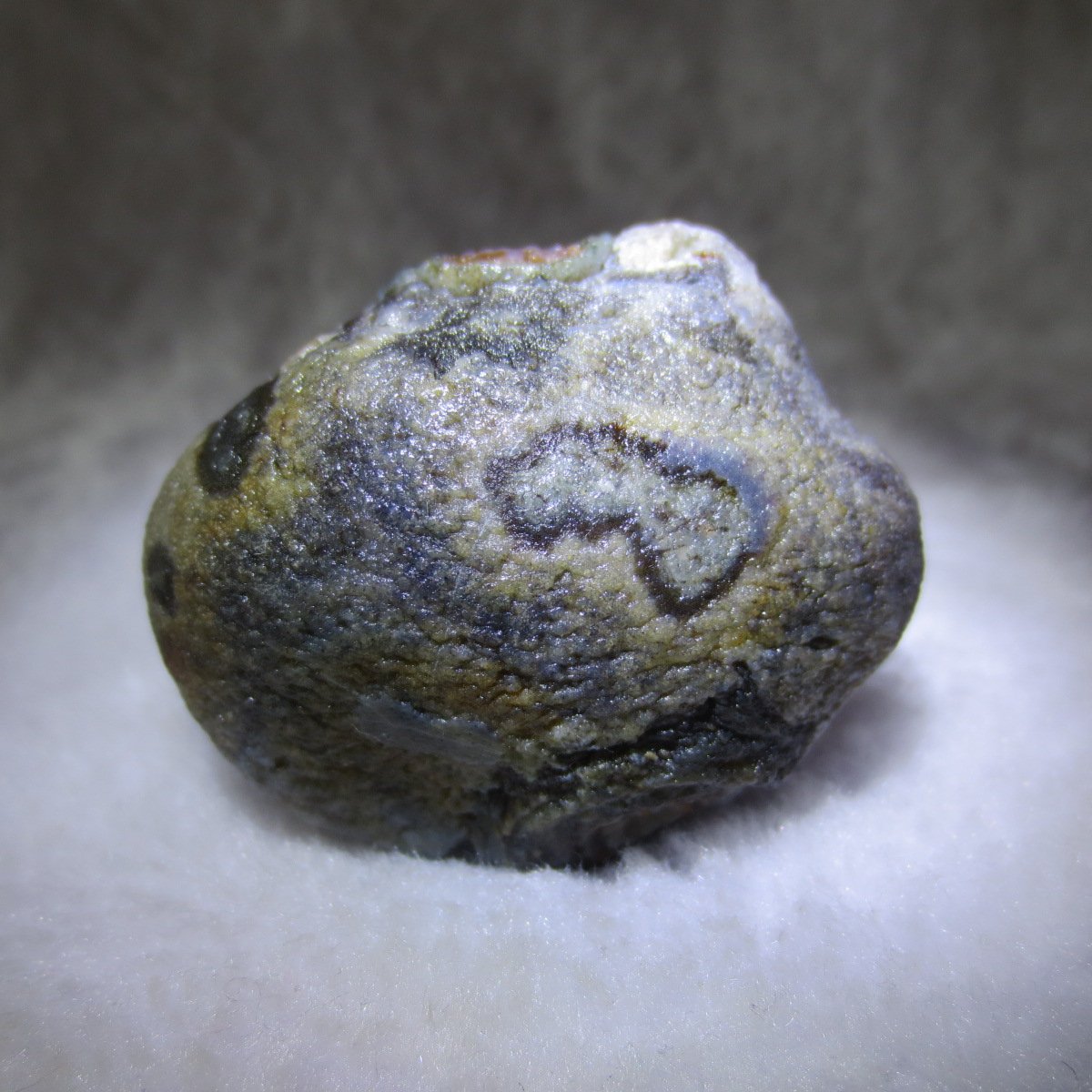natural thumb eye gobi agate desert raw stone mineral (m122)