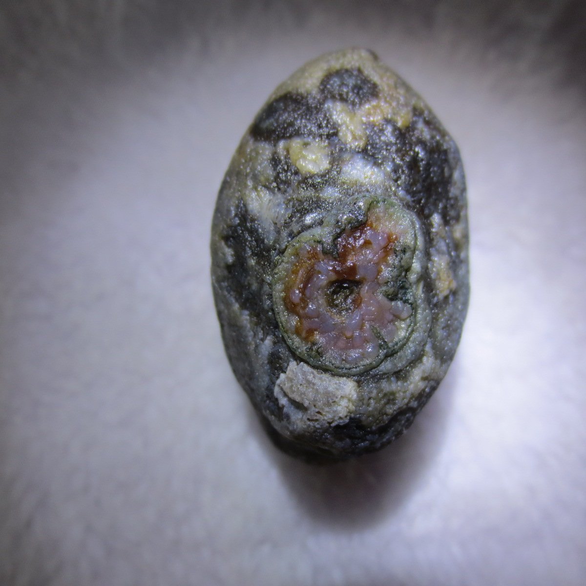 natural thumb eye gobi agate desert raw stone mineral (m122)