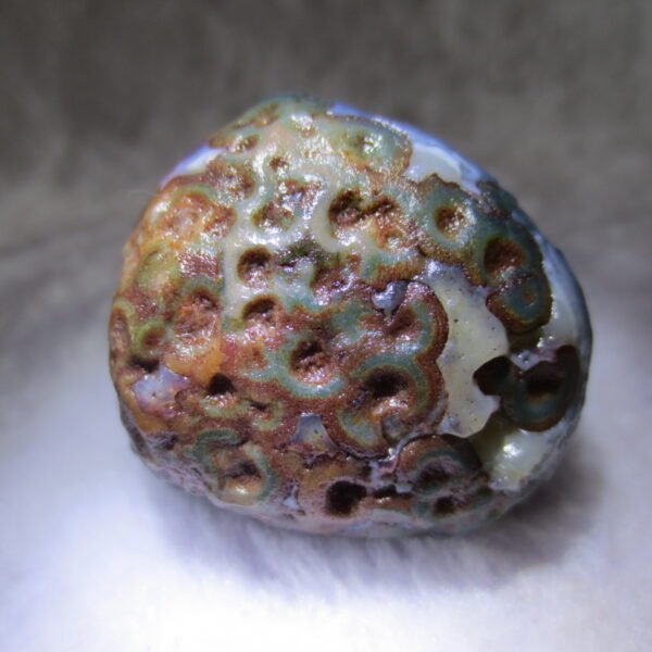 natural thumb eye gobi agate desert raw stone mineral (m123)