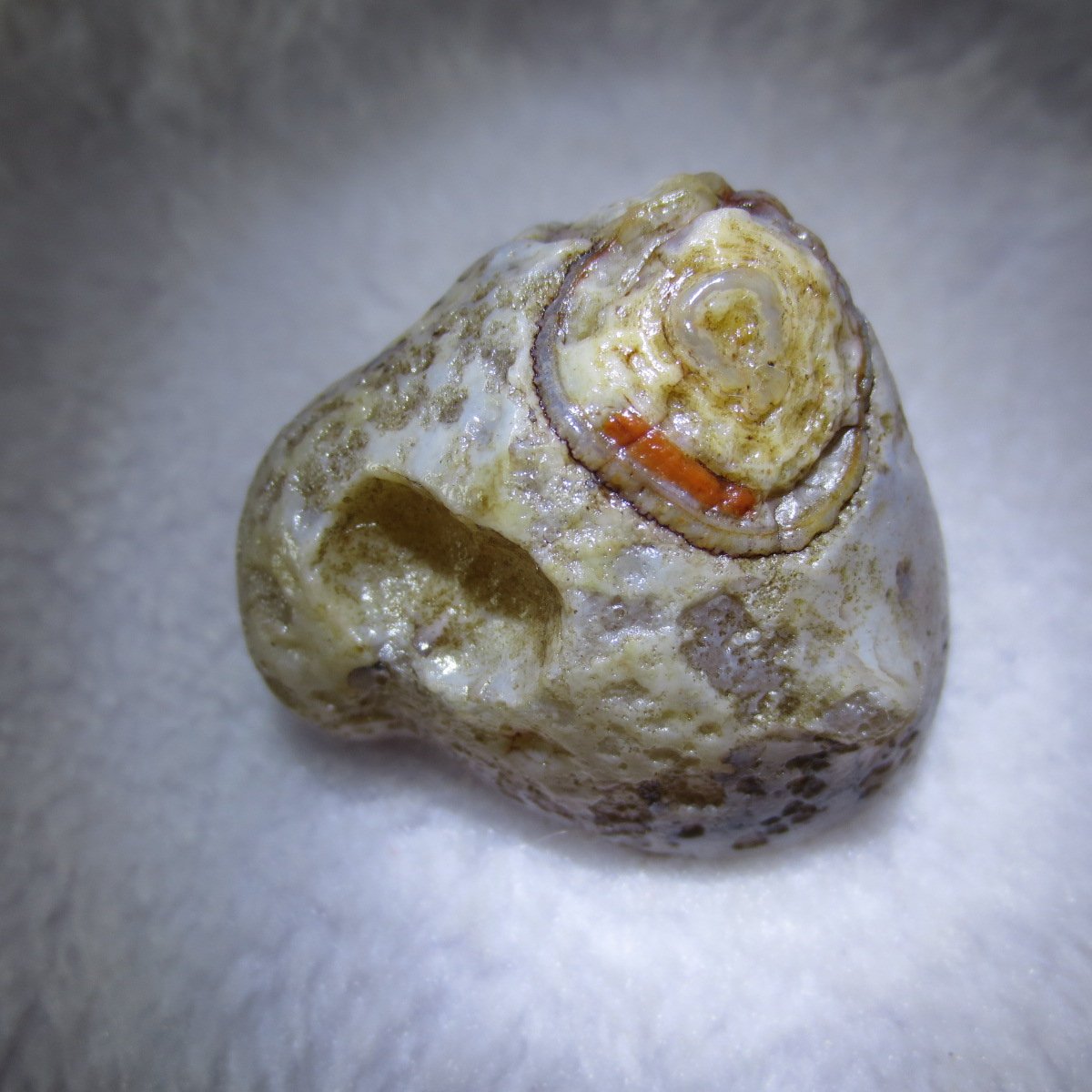 natural thumb eye gobi agate desert raw stone mineral (m124)