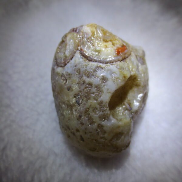 natural thumb eye gobi agate desert raw stone mineral (m124)
