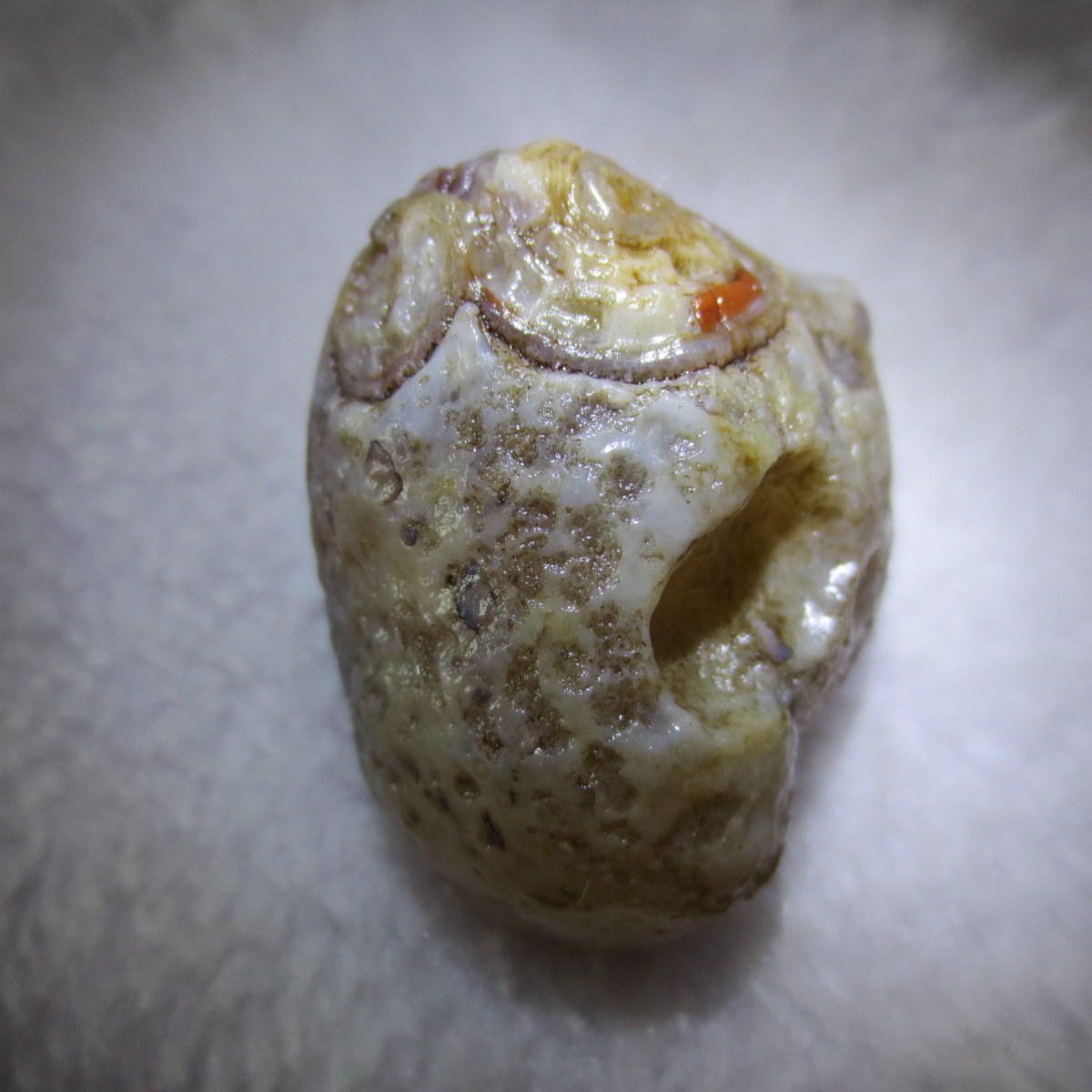 natural thumb eye gobi agate desert raw stone mineral (m124)