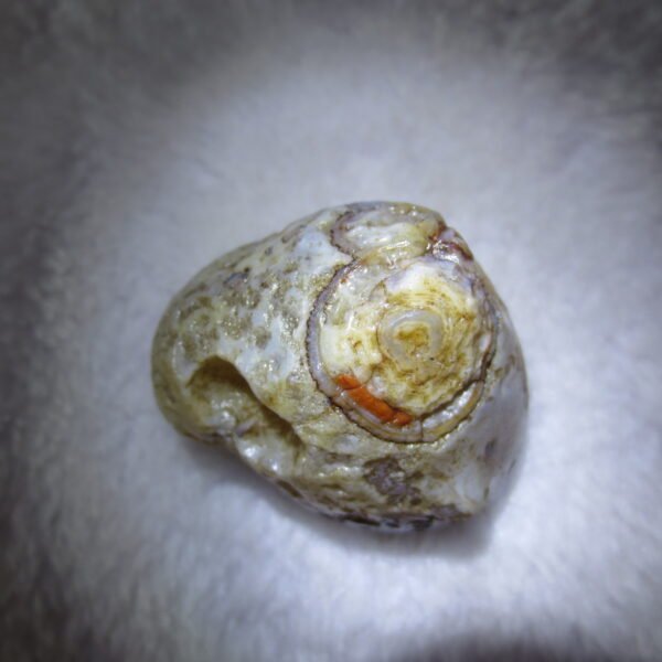 natural thumb eye gobi agate desert raw stone mineral (m124)