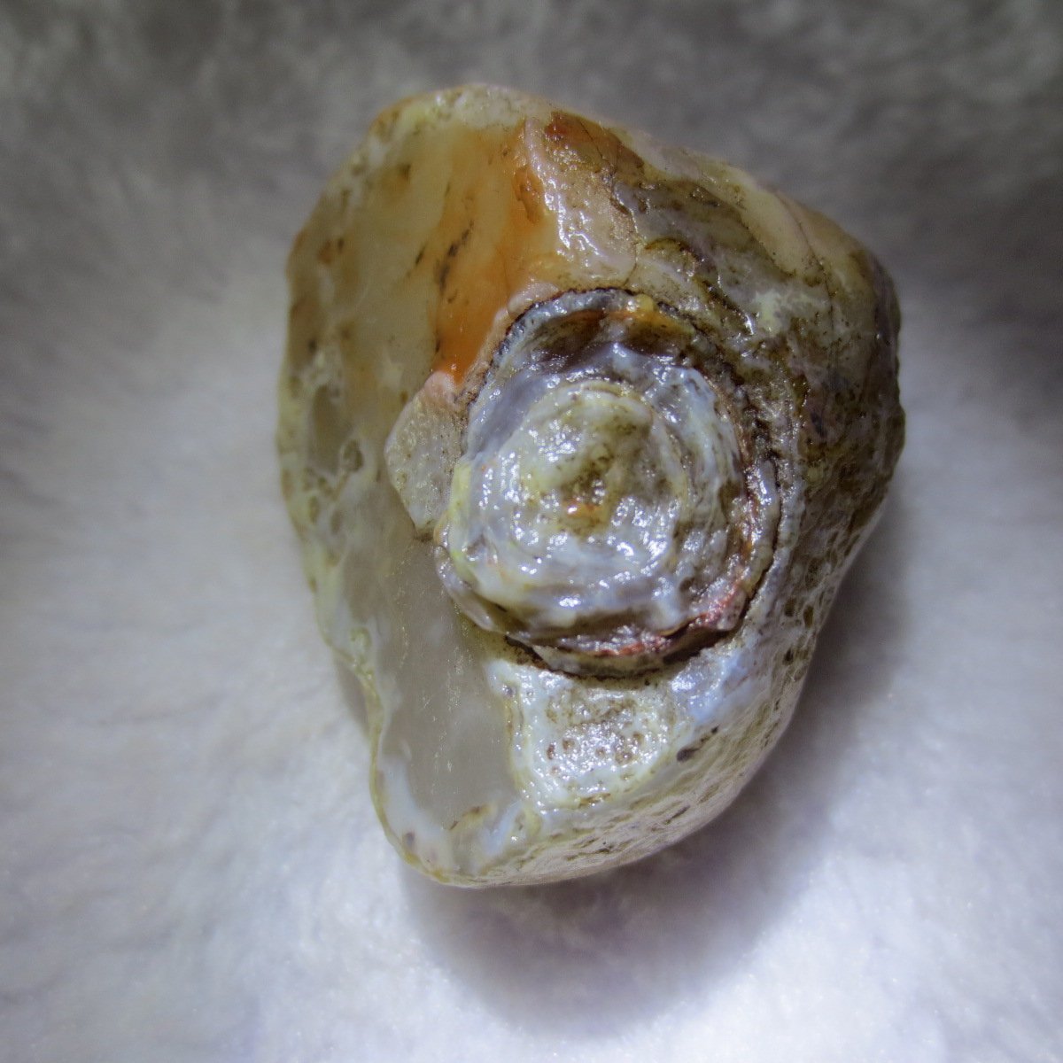 natural thumb eye gobi agate desert raw stone mineral (m124)