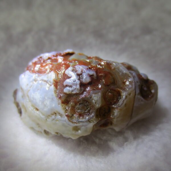 natural thumb eye gobi agate desert raw stone mineral (m126)