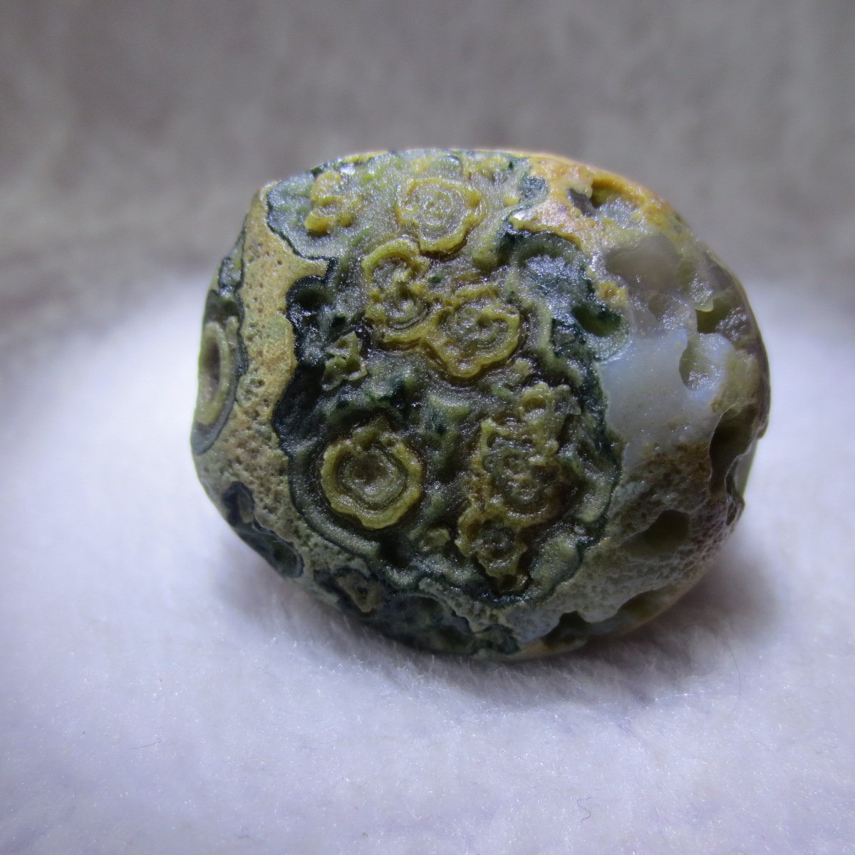 natural thumb eye gobi agate desert raw stone mineral (m127)