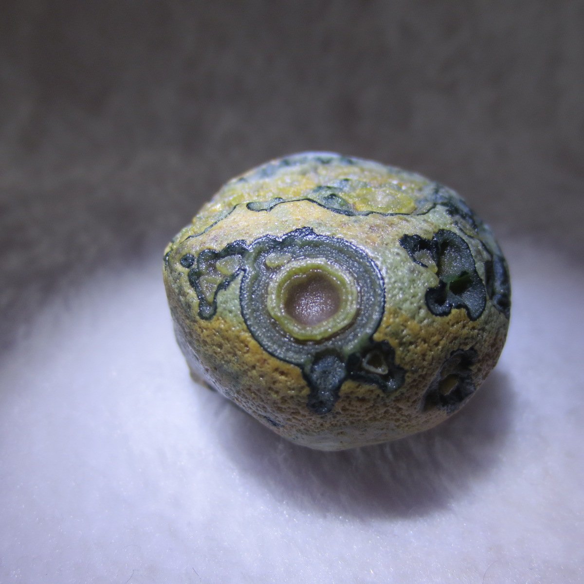 natural thumb eye gobi agate desert raw stone mineral (m127)