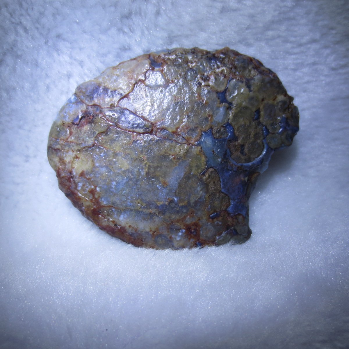 natural thumb eye gobi agate desert raw stone mineral (m128)