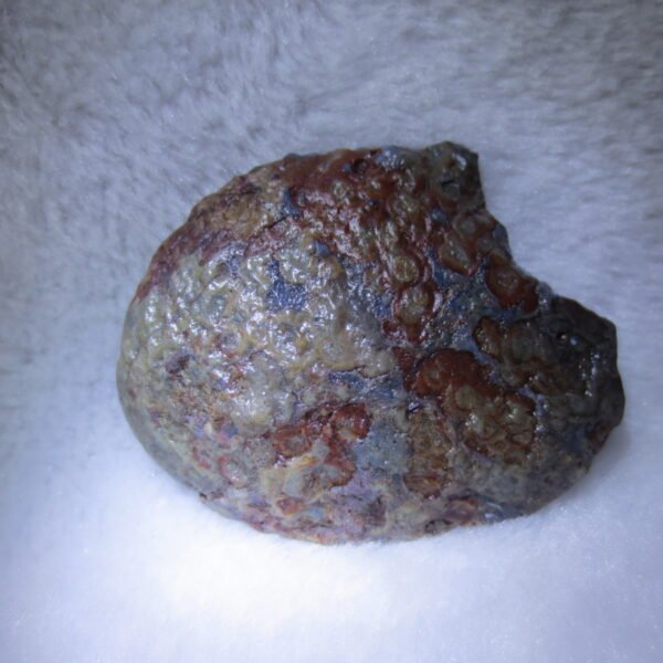 natural thumb eye gobi agate desert raw stone mineral (m128)