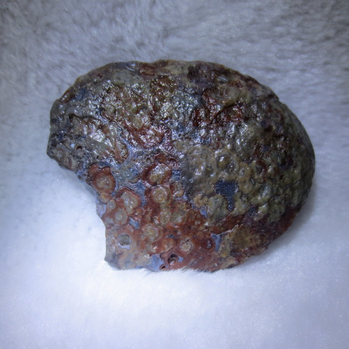 natural thumb eye gobi agate desert raw stone mineral (m128)
