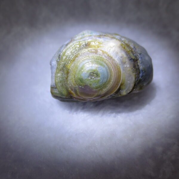 natural thumb eye gobi agate desert raw stone mineral (m129)