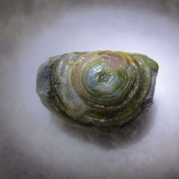 natural thumb eye gobi agate desert raw stone mineral (m129)