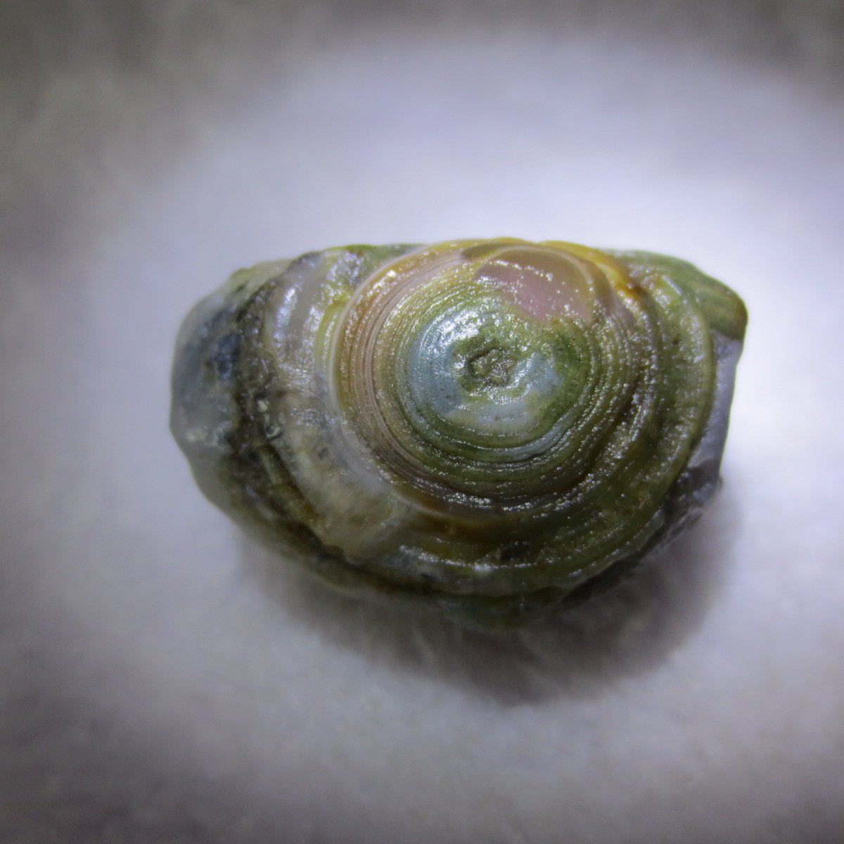 natural thumb eye gobi agate desert raw stone mineral (m129)