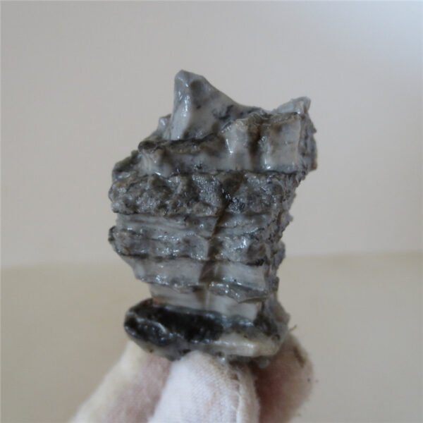 natural raw desert gobi stone collection specimen mineral (k056)