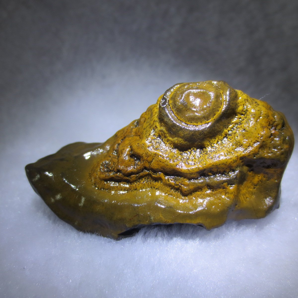natural thumb eye gobi agate desert raw stone mineral (m145)