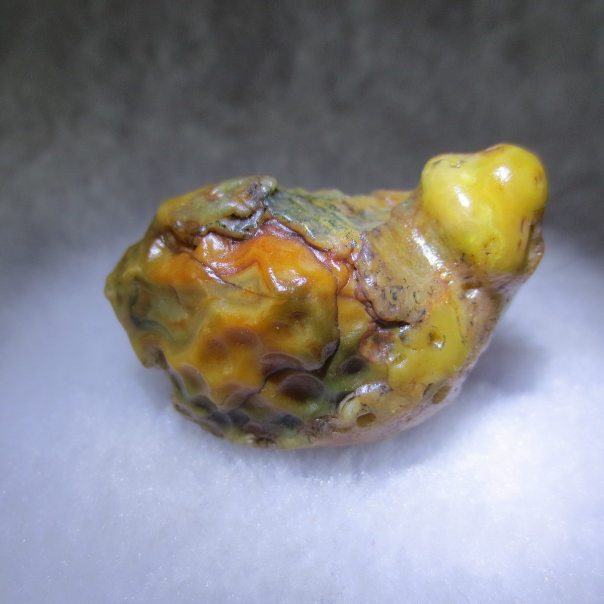 natural thumb eye gobi agate desert raw stone mineral (m155)