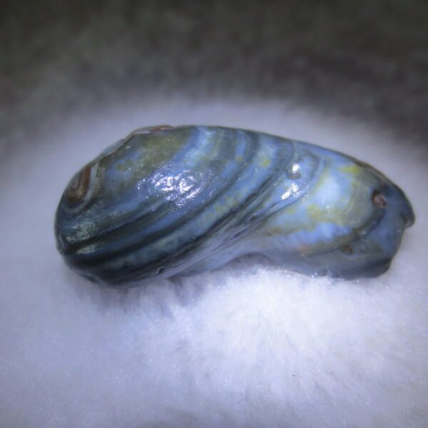 natural thumb eye gobi agate desert raw stone mineral (m165)