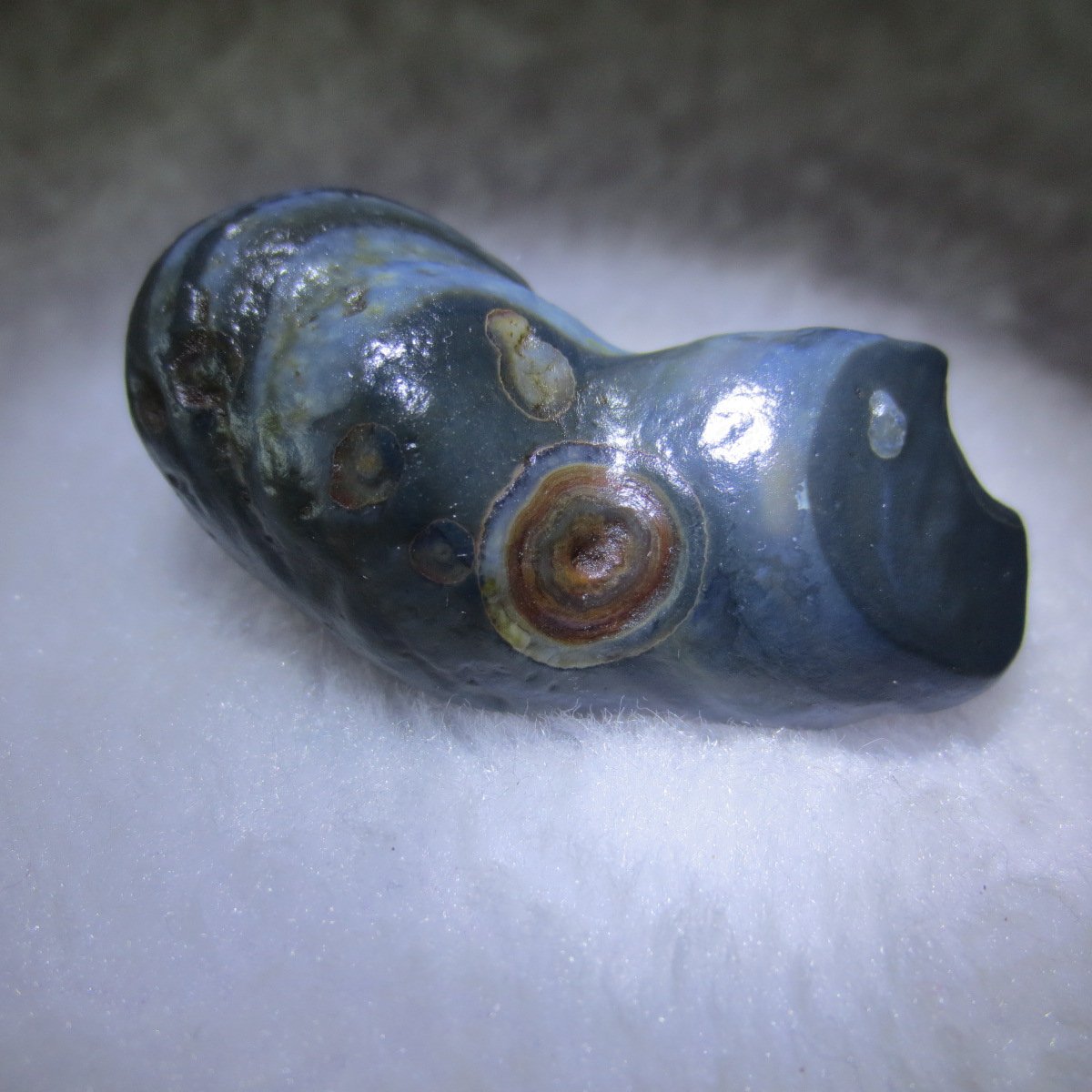 natural thumb eye gobi agate desert raw stone mineral (m165)