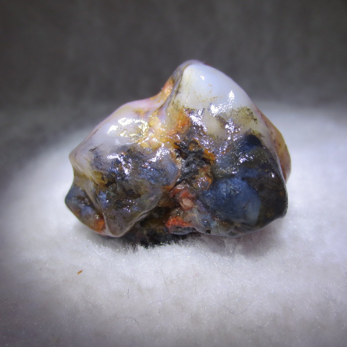 multi color gobi flower agate raw stone natural botryoidal desert agate specimen (k146)