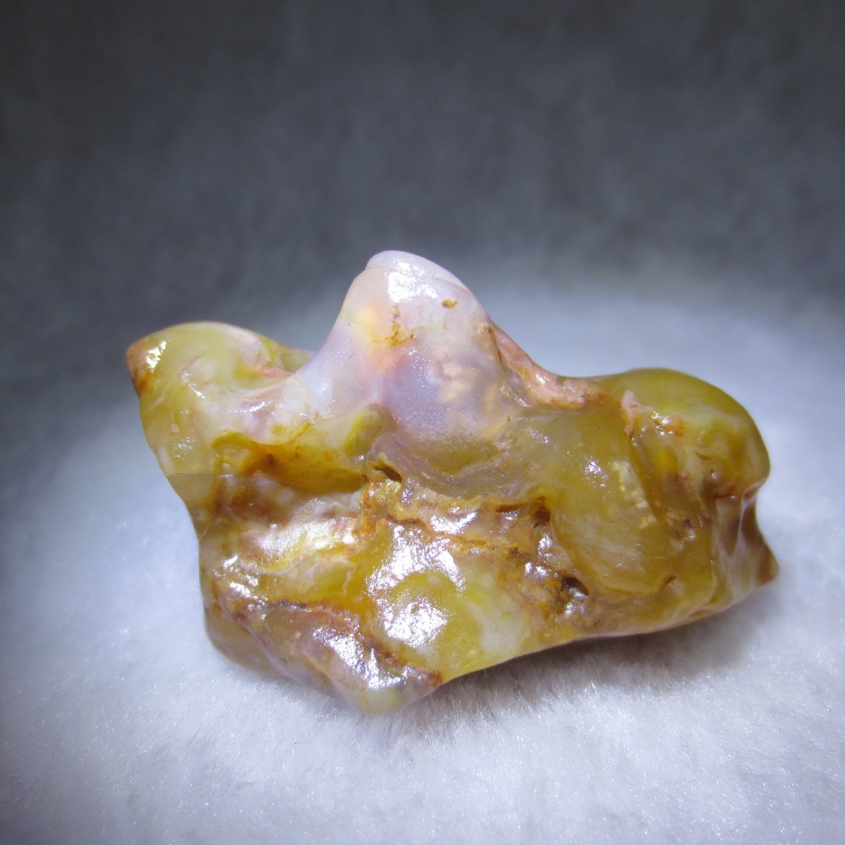 multi color gobi flower agate raw stone natural botryoidal desert agate specimen (k130)