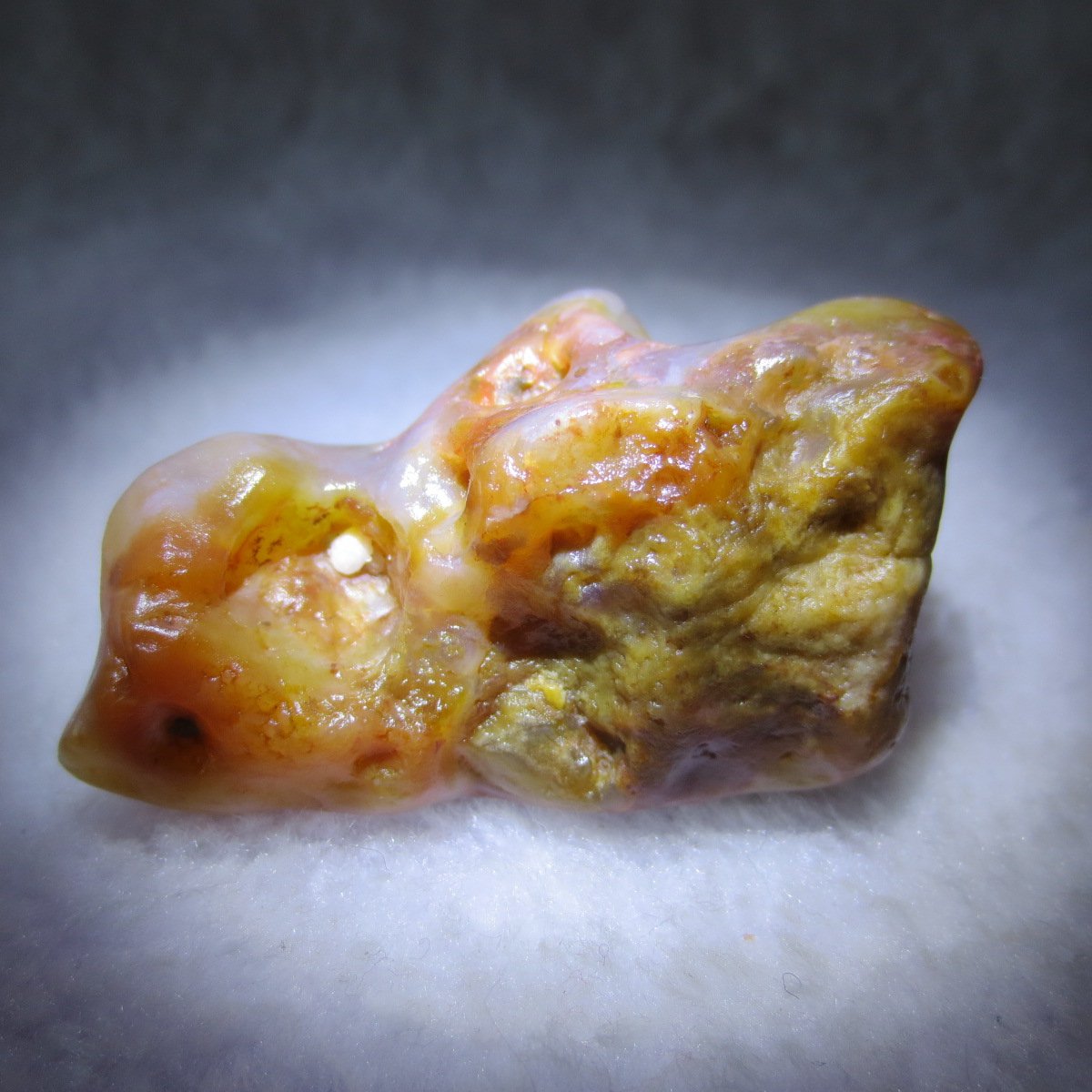 multi color gobi flower agate raw stone natural botryoidal desert agate specimen (k130)