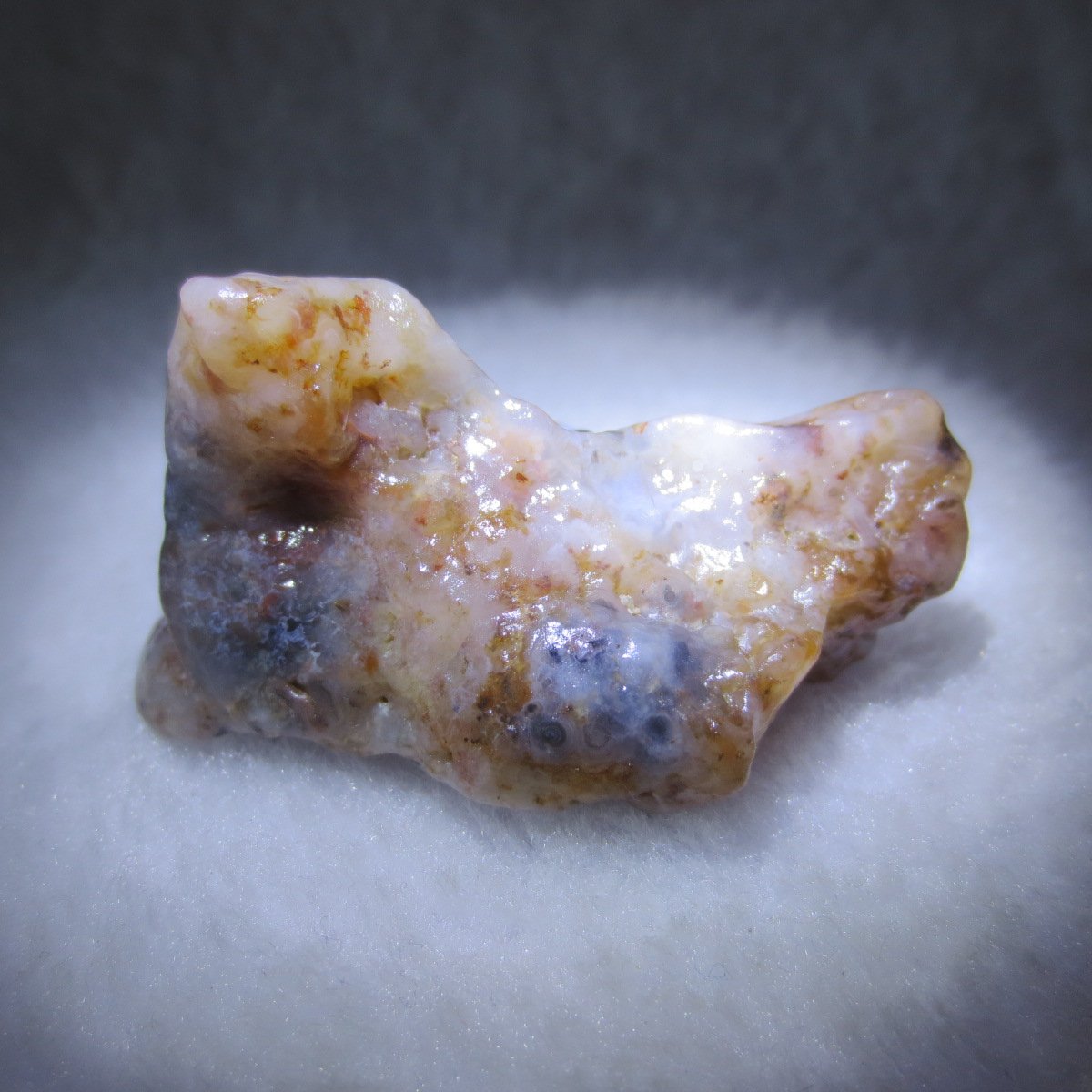 multi color gobi flower agate raw stone natural botryoidal desert agate specimen (k128)