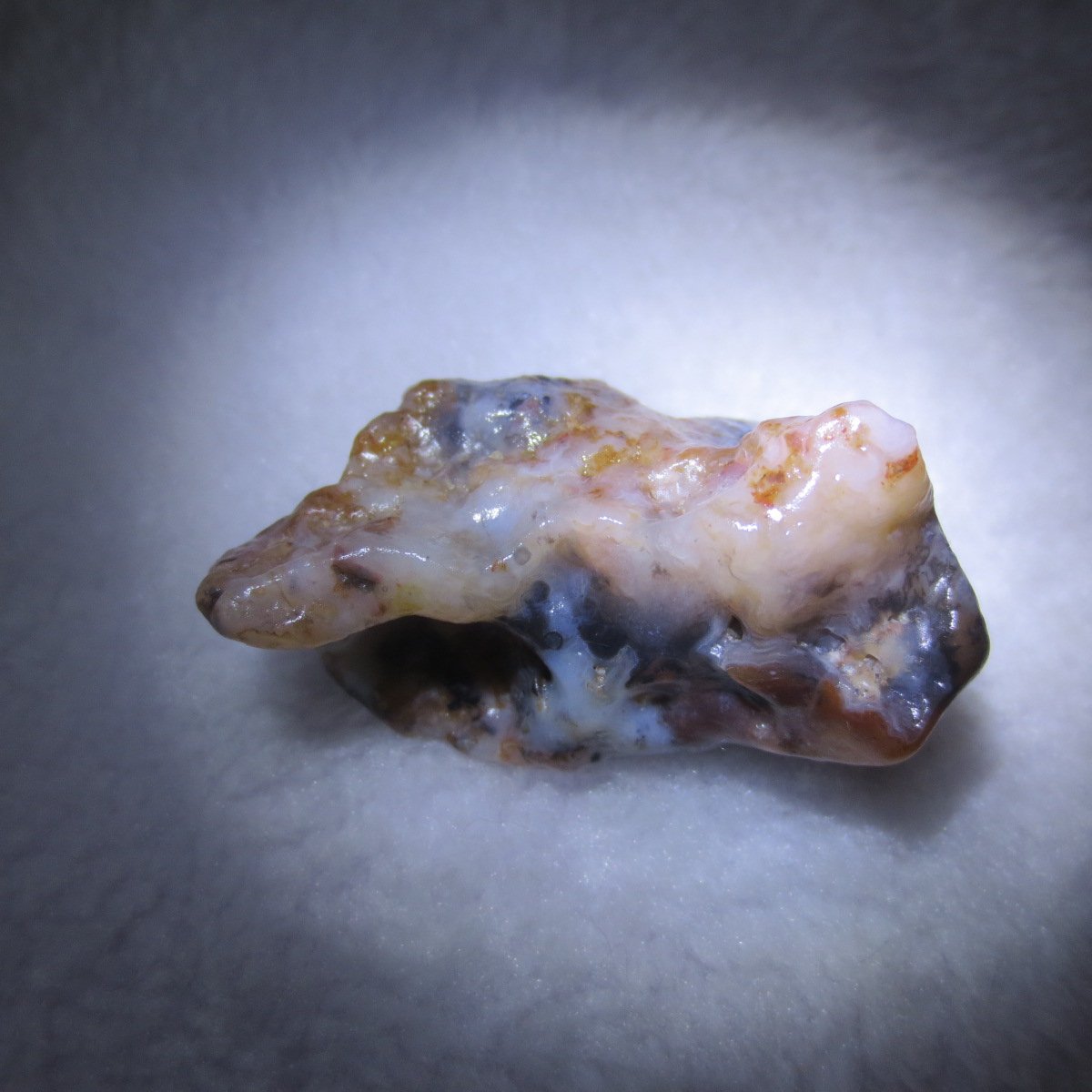 multi color gobi flower agate raw stone natural botryoidal desert agate specimen (k128)