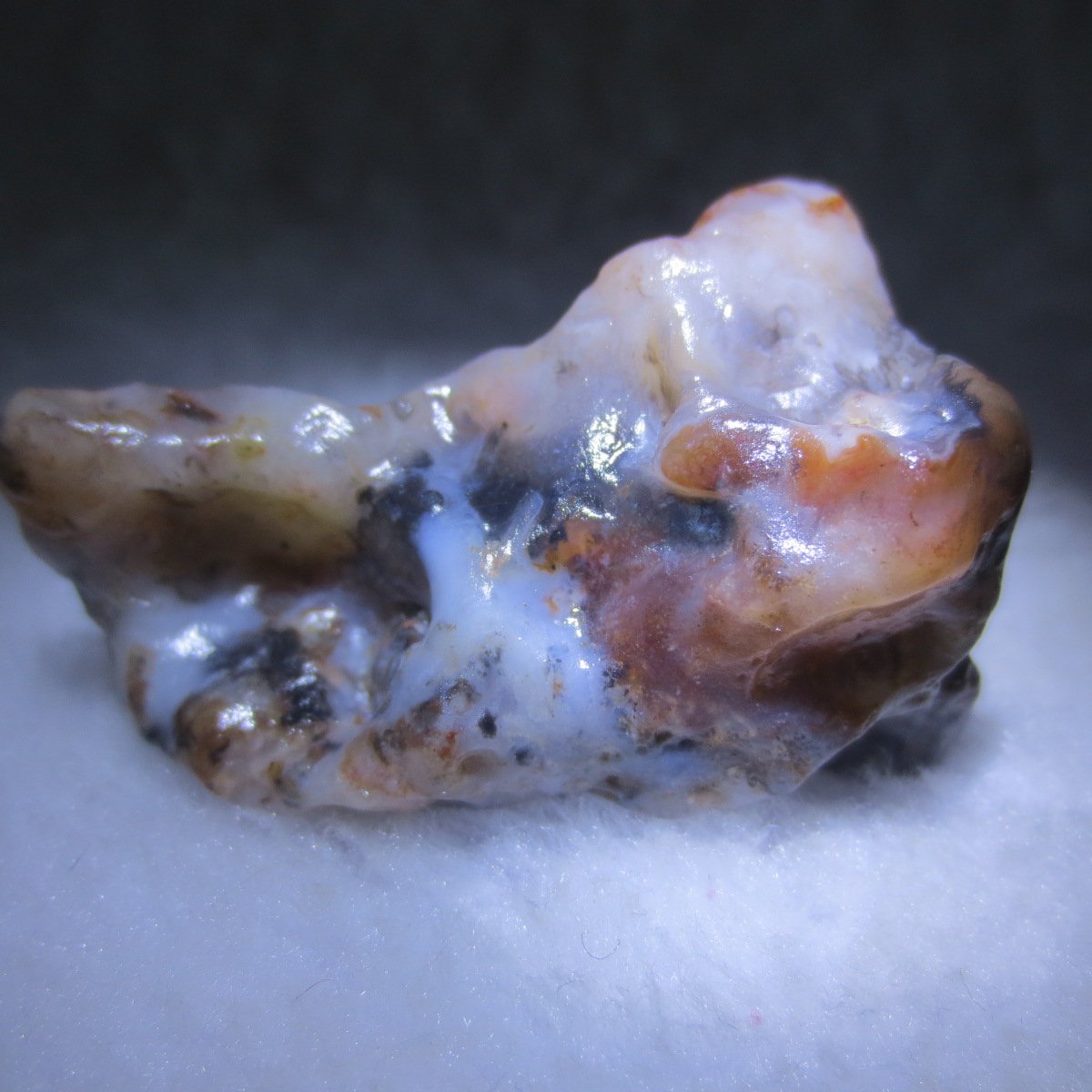 multi color gobi flower agate raw stone natural botryoidal desert agate specimen (k128)