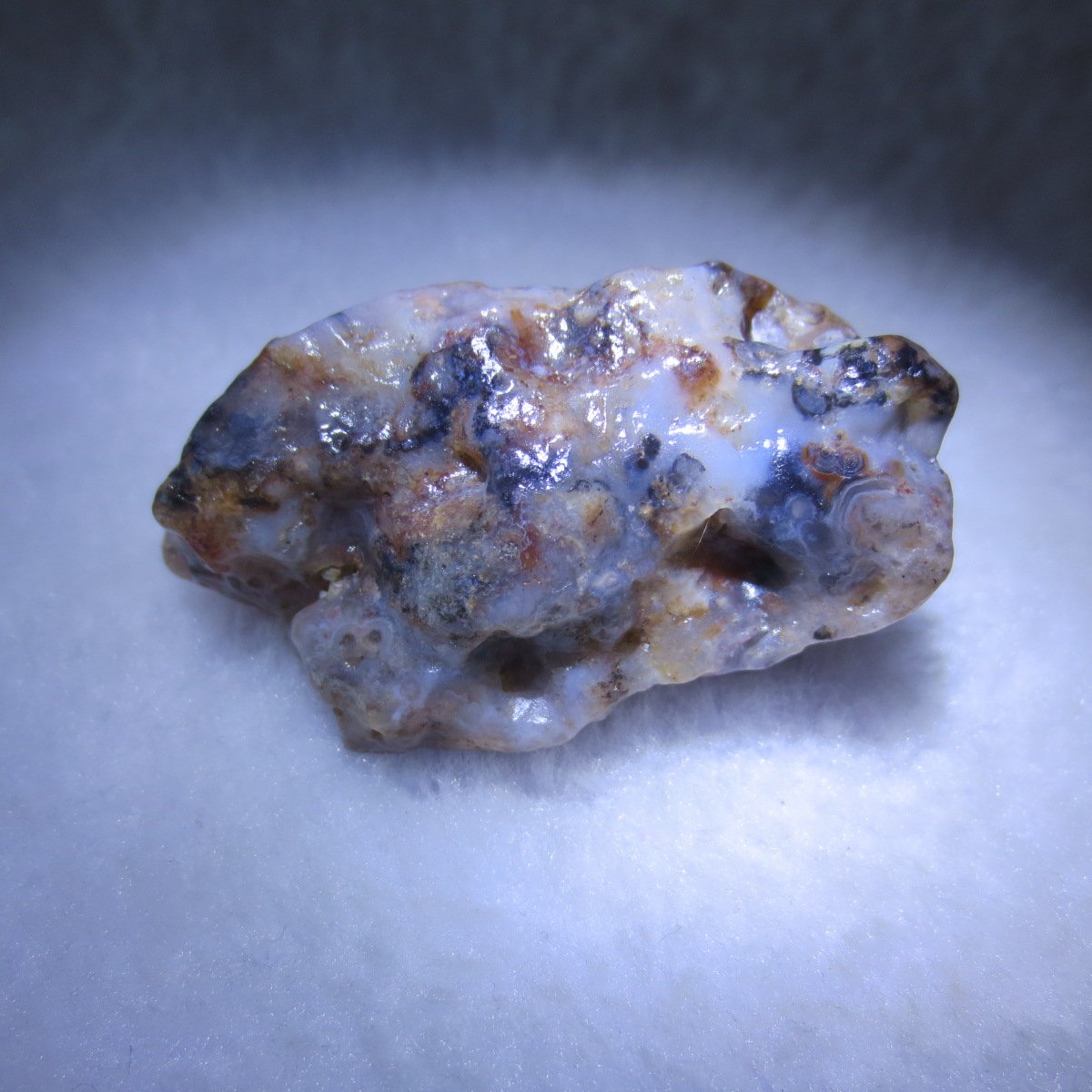 multi color gobi flower agate raw stone natural botryoidal desert agate specimen (k128)