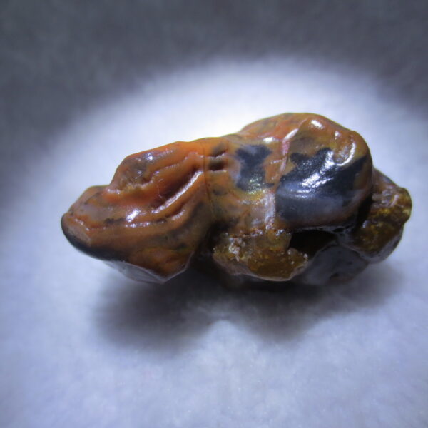multi color gobi flower agate raw stone natural botryoidal desert agate specimen (k126)