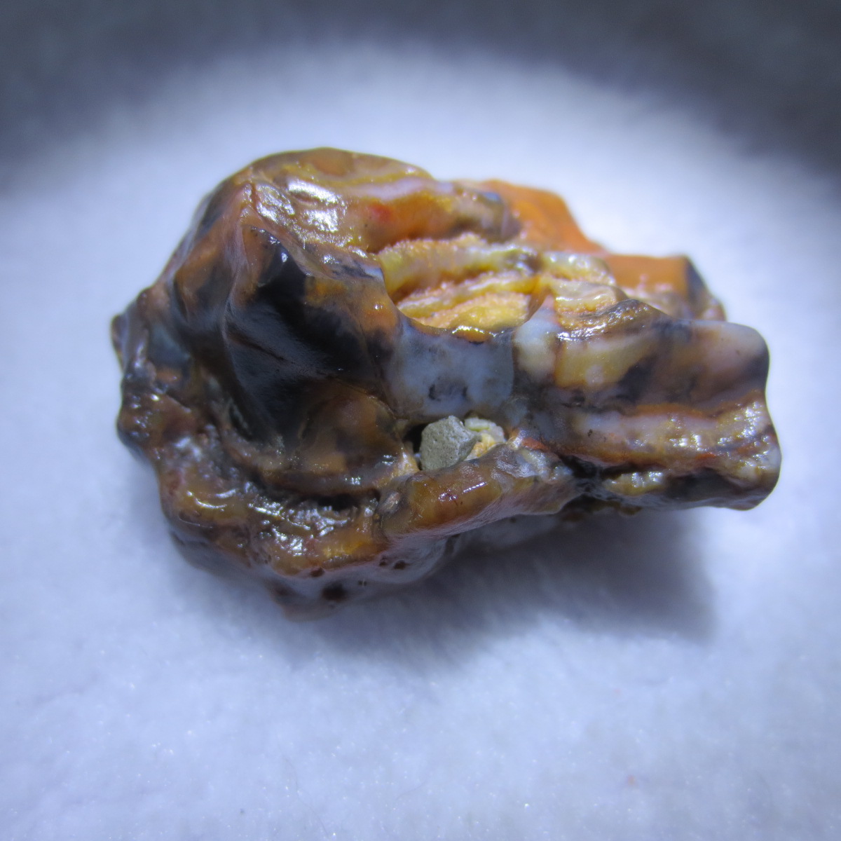 multi color gobi flower agate raw stone natural botryoidal desert agate specimen (k126)