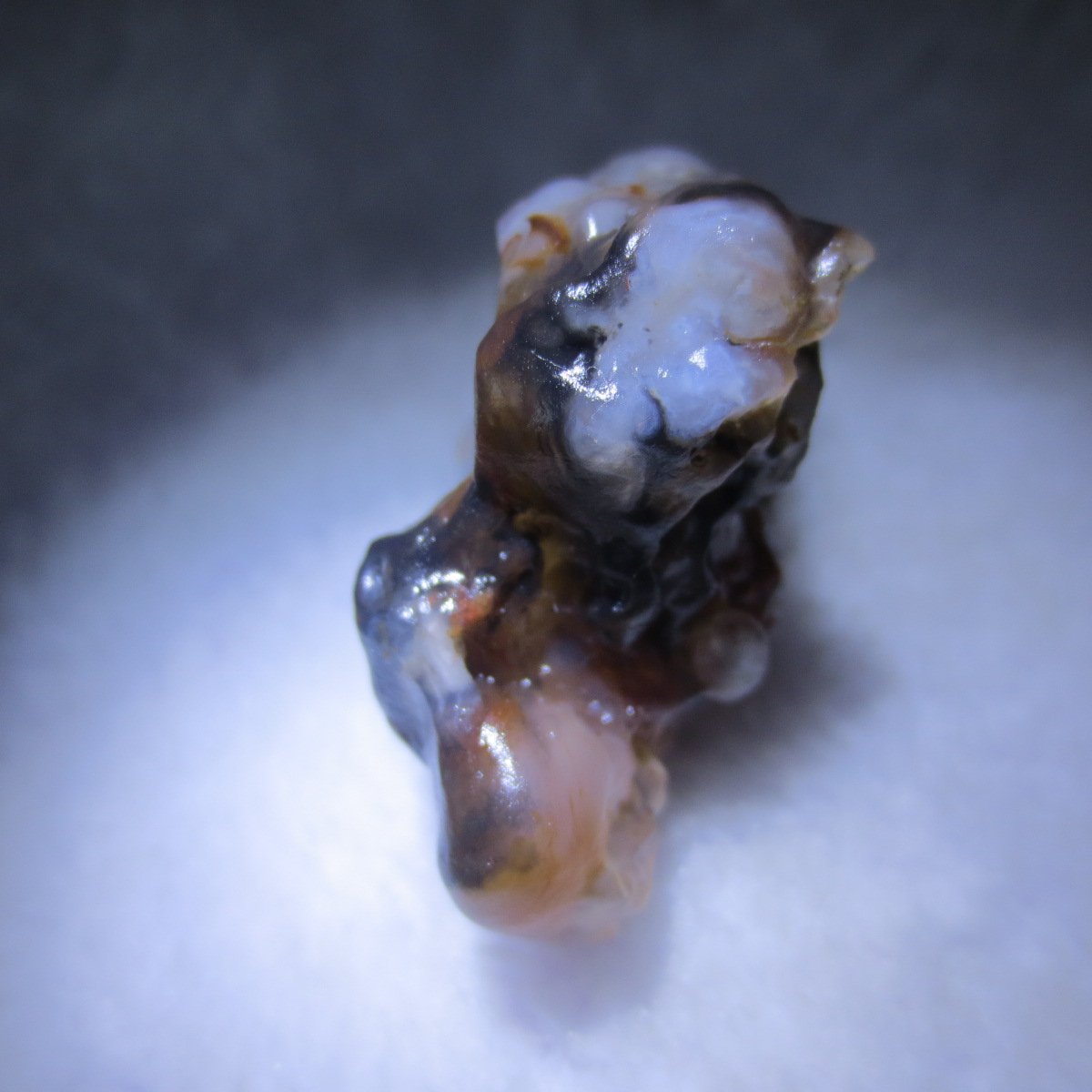 multi color gobi flower agate raw stone natural botryoidal desert agate specimen (k121)