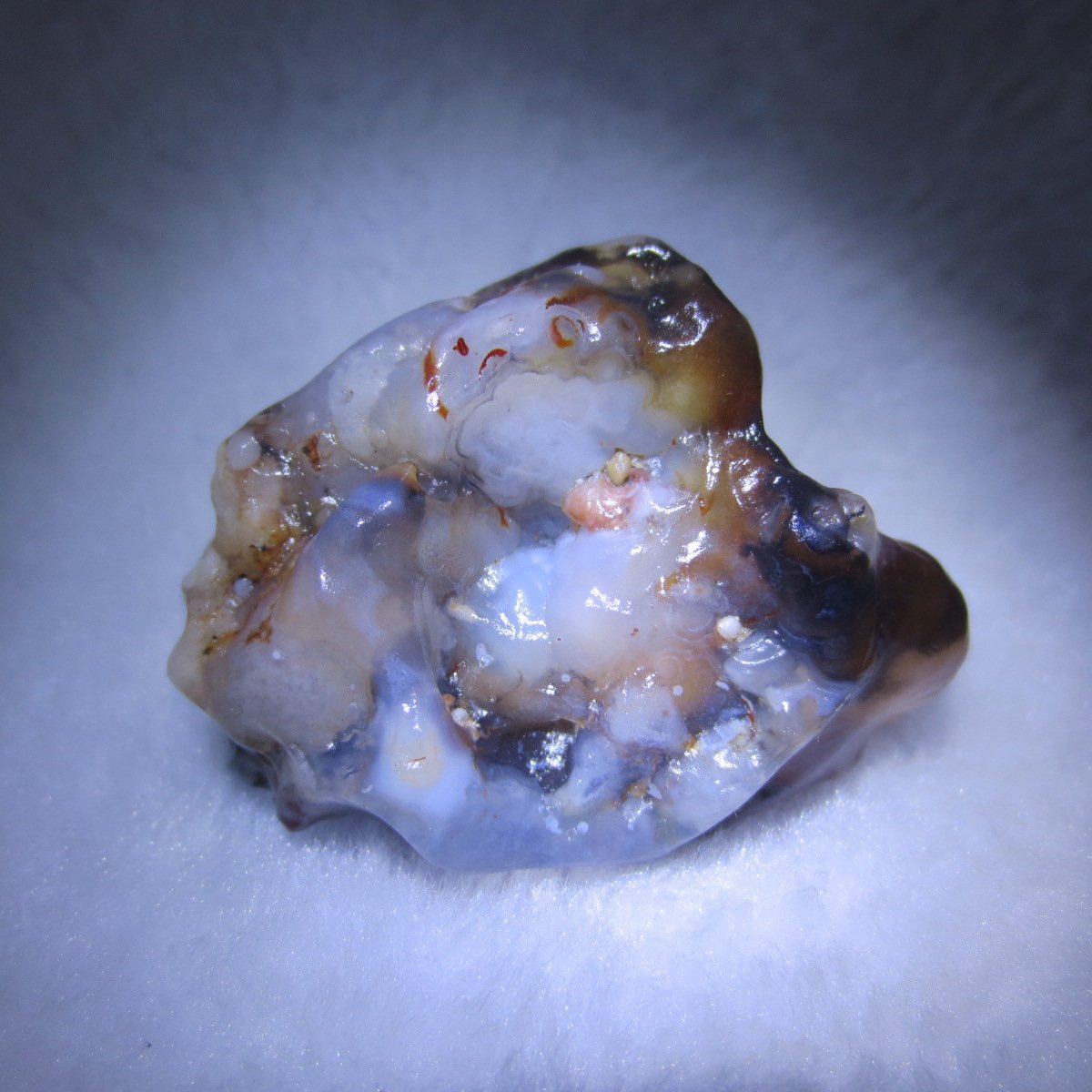 multi color gobi flower agate raw stone natural botryoidal desert agate specimen (k121)