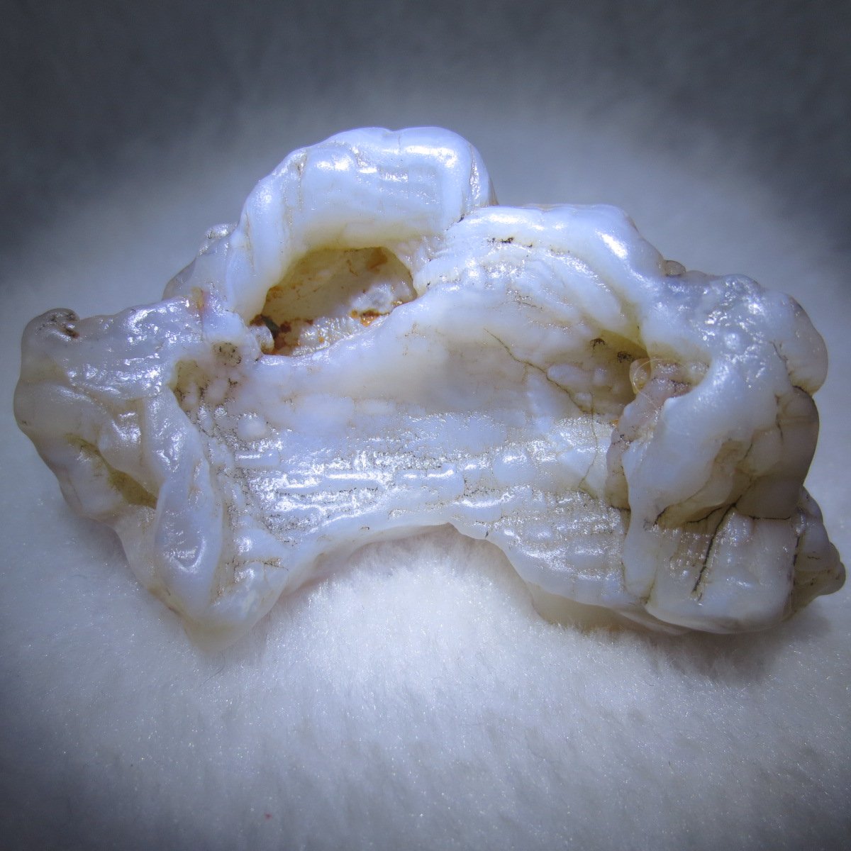 natural flower gobi agate raw desert rock mineral specimen (k115)