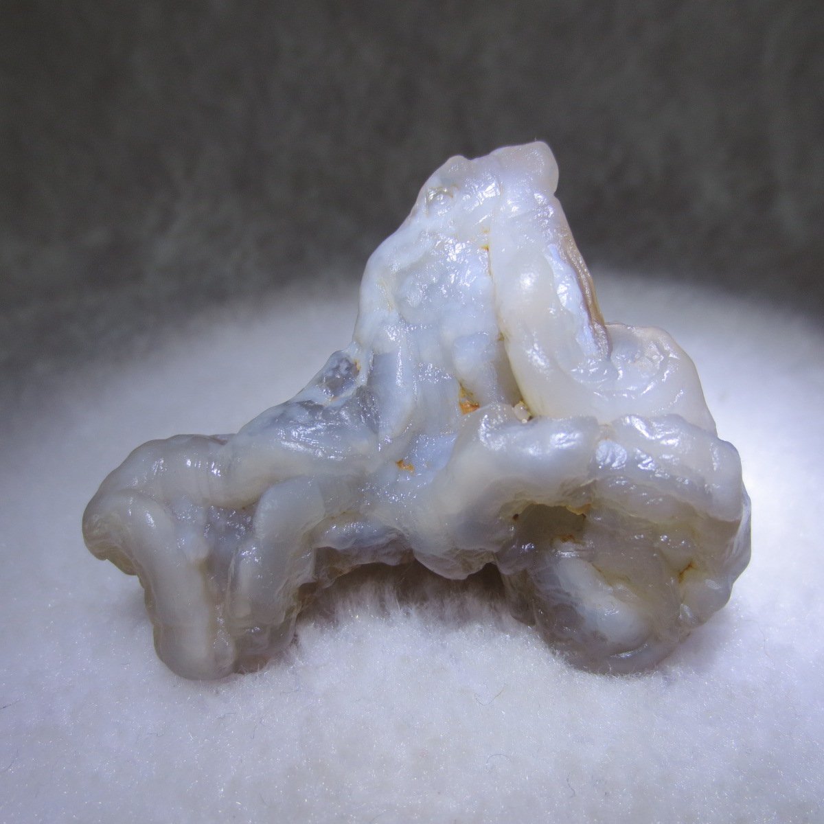 natural flower gobi agate raw desert rock mineral specimen (k109)