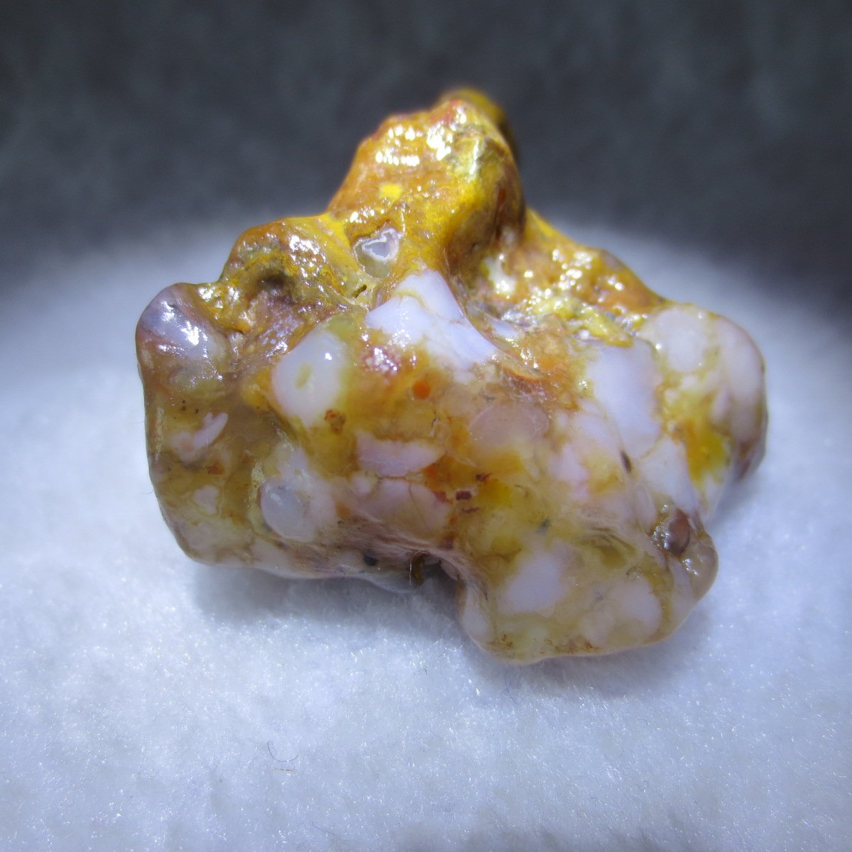 multi color gobi flower agate raw stone natural botryoidal desert agate specimen (k105)