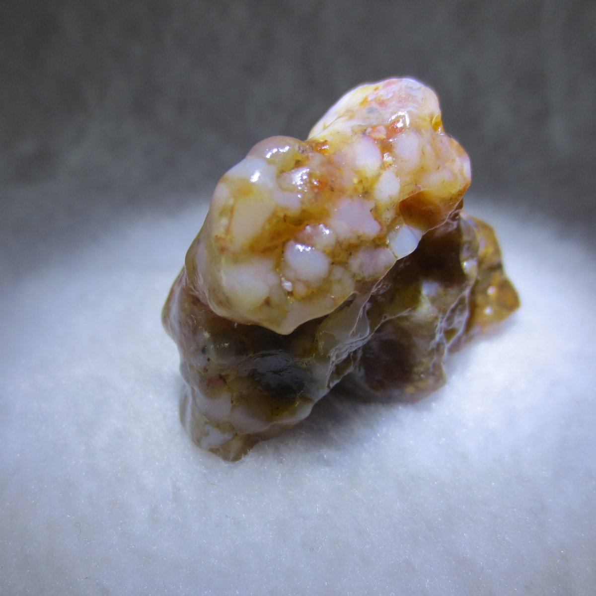 multi color gobi flower agate raw stone natural botryoidal desert agate specimen (k105)