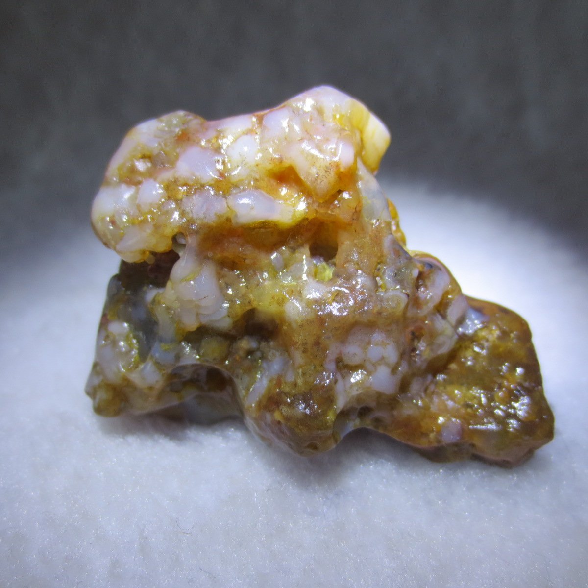multi color gobi flower agate raw stone natural botryoidal desert agate specimen (k105)